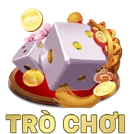 Hình ảnh cài đặt trình duyệt để quản lý cookie